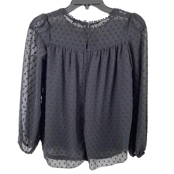 ELLA MOSS Embroidery Swiss Dot Sheer Blouse Size 0 - Picture 2 of 12